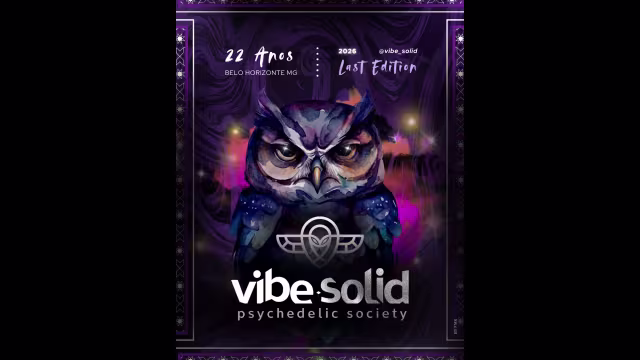 Vibe Solid 2026