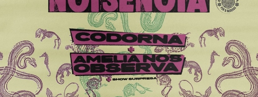 NOISENOIA Festival Vol.9