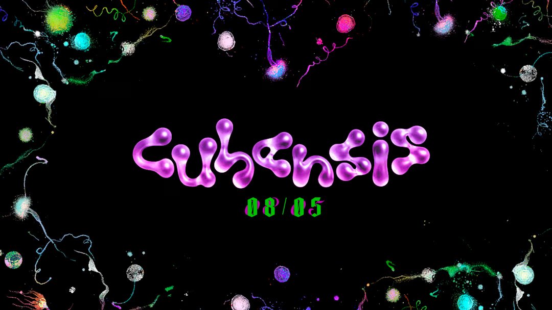 Cubensis 6