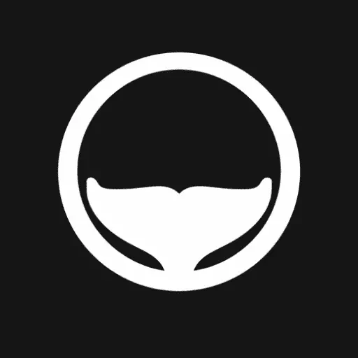 Orca Nights II