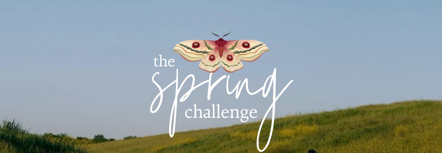 Spring Challenge