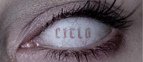 CICLO 7