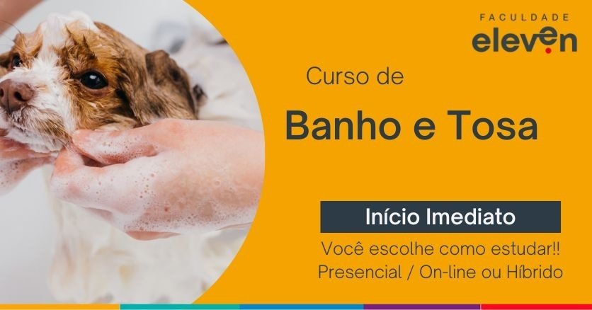 Curso de Banho e Tosa Faculdade Eleven