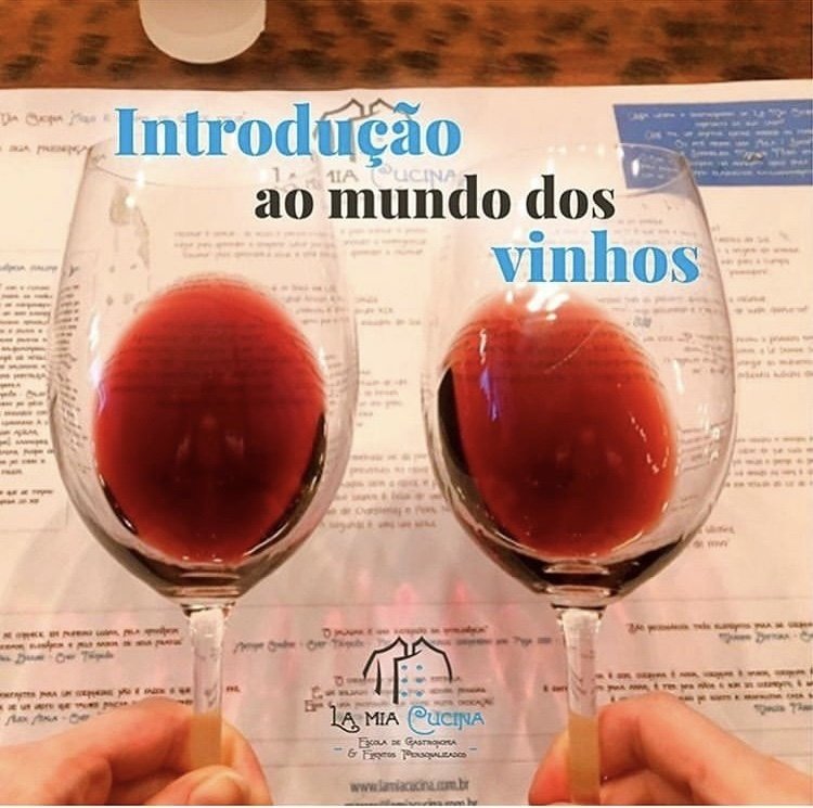Curso de Vinhos - Introdução ao Mundo dos Vinhos