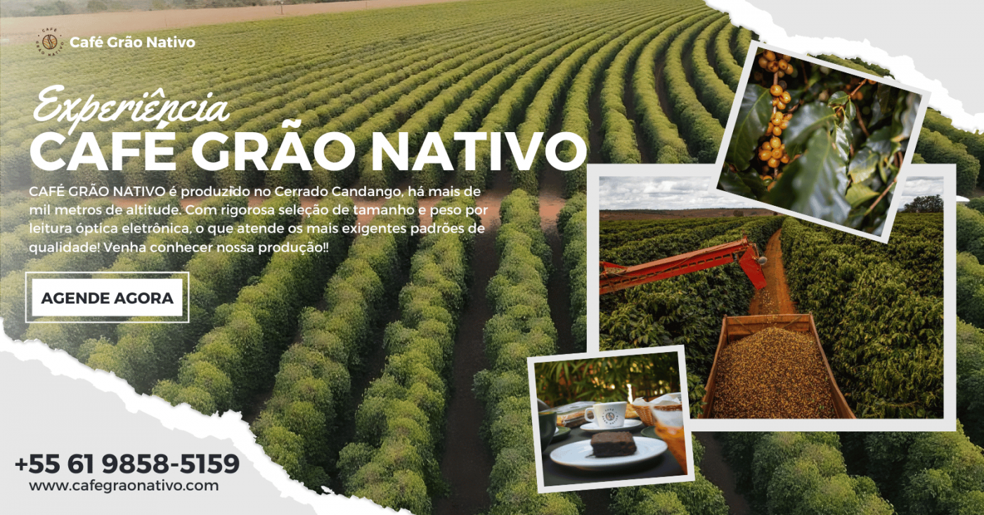 EXPERIÊNCIA SANTA ROSA 19/09 - CAFÉ GRÃO NATIVO