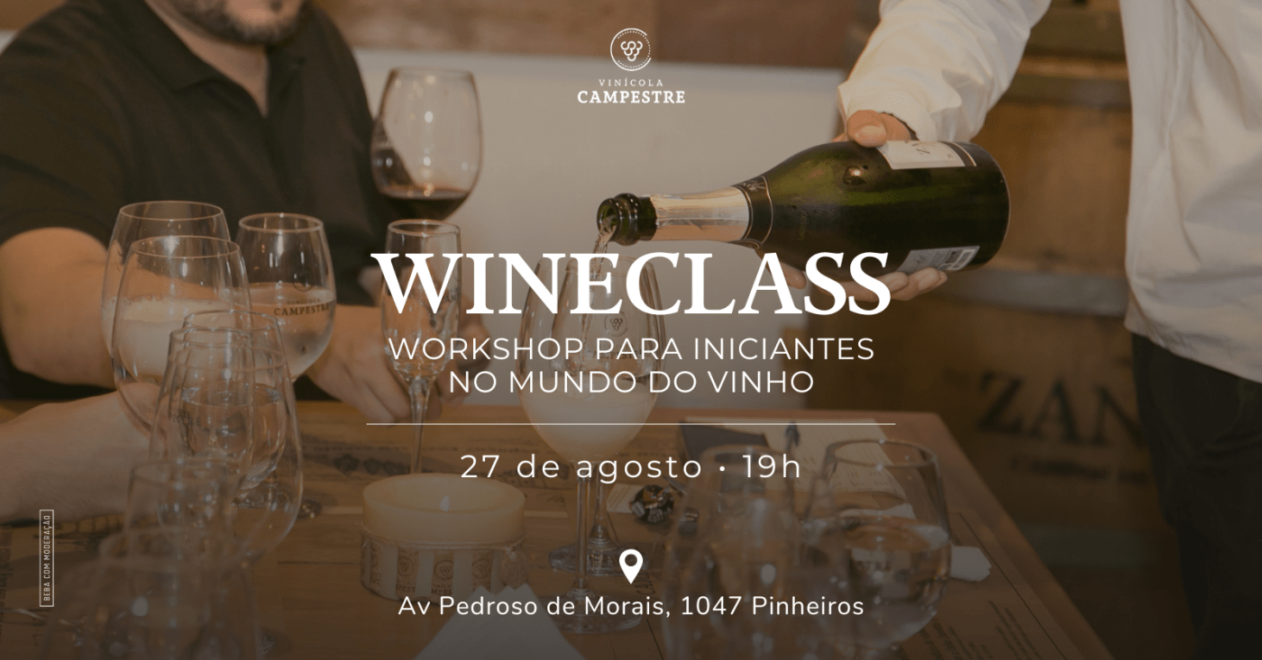 WINE CLASS PARA INICIANTES NO MUNDO DO VINHOS E ENÓFILOS