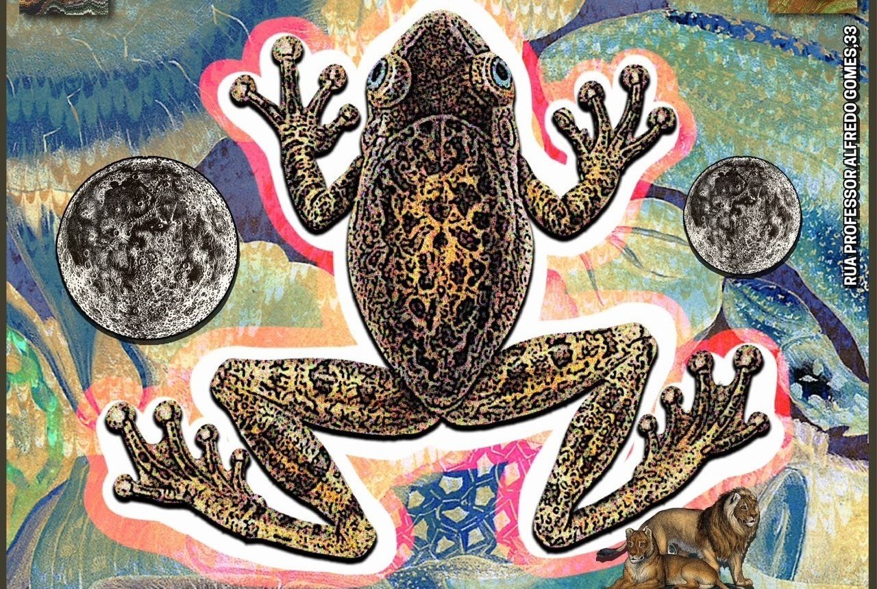 KUBANAKHAN + BANDA BICHO + ACAUÃ