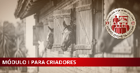 MÓDULO I PARA CRIADORES