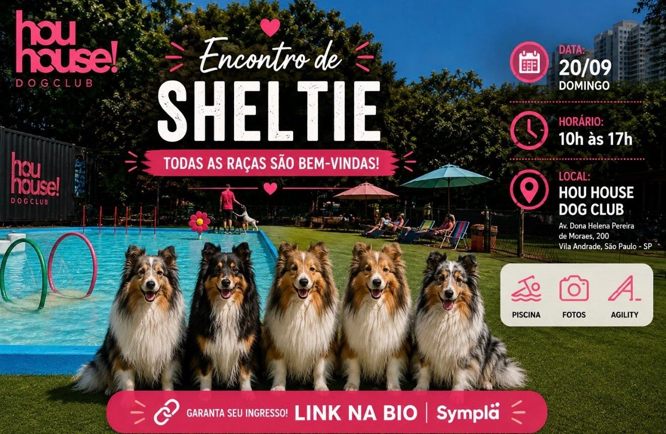 Encontro de Shelties no Hou House